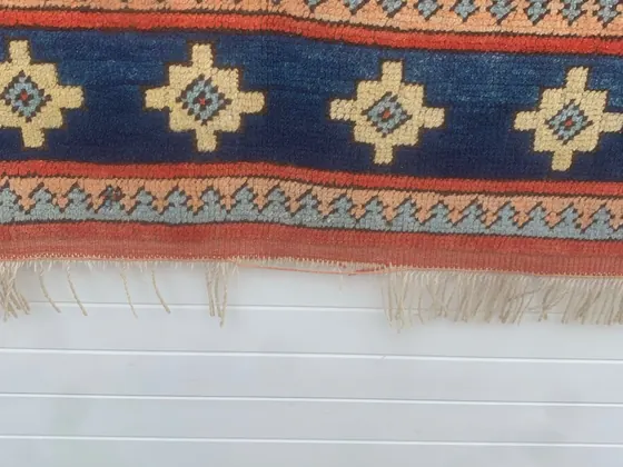 Tapis Bidjar, bordure à palmettes.