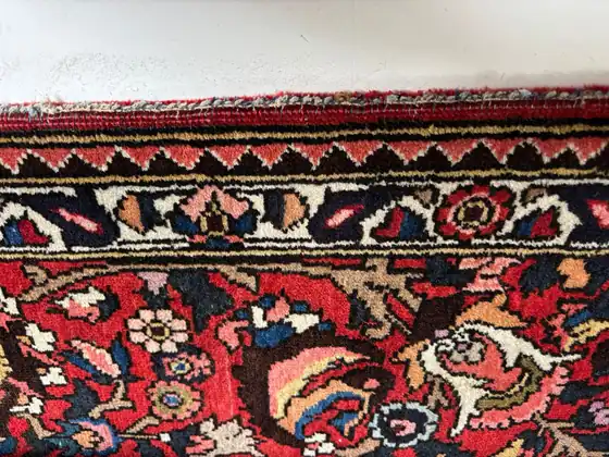 Bordure principale d'un Bakhtiar, gros plan.